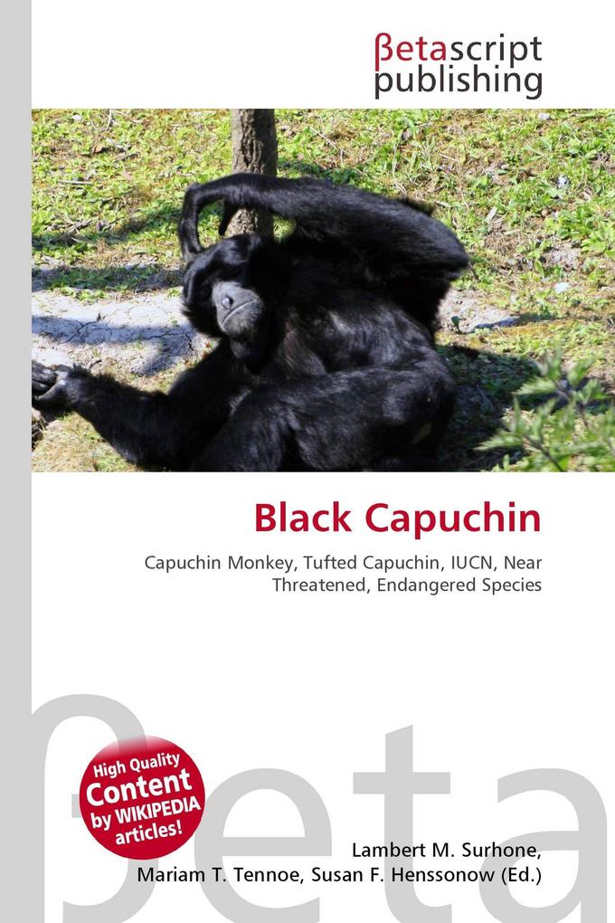 Black Capuchin
