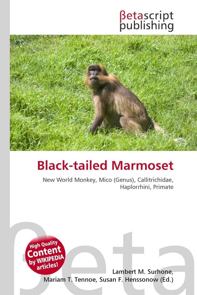 Black-tailed Marmoset