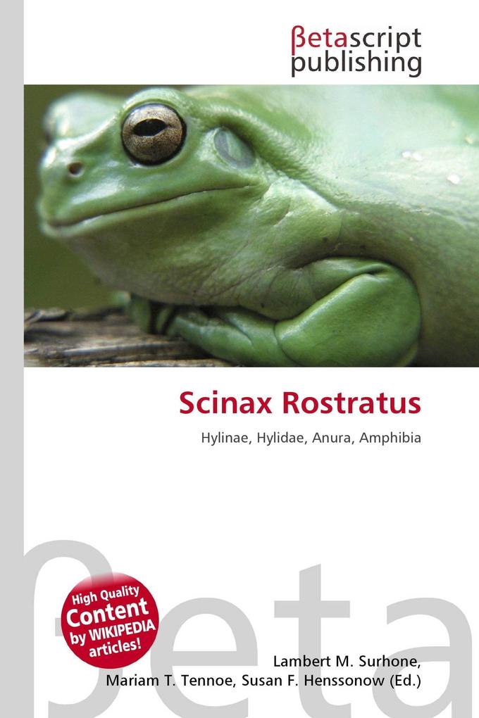 Scinax Rostratus