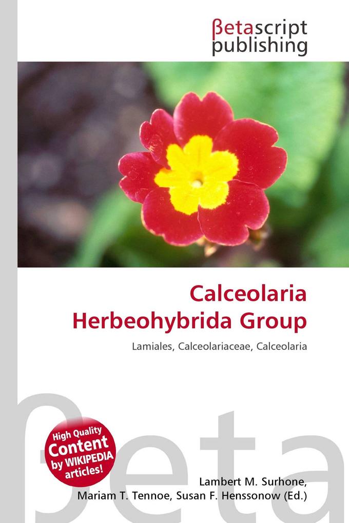 Calceolaria Herbeohybrida Group