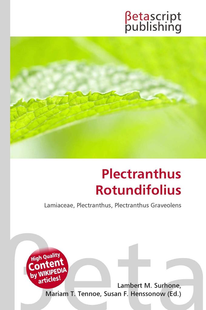 Plectranthus Rotundifolius