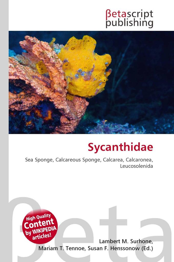 Sycanthidae