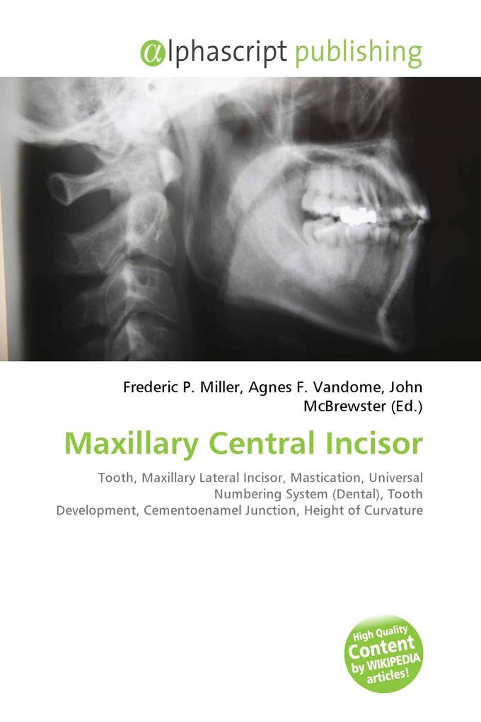 Maxillary Central Incisor