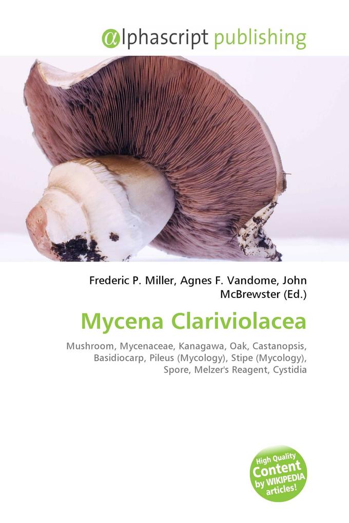 Mycena Clariviolacea