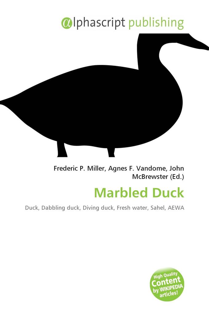 Marbled Duck