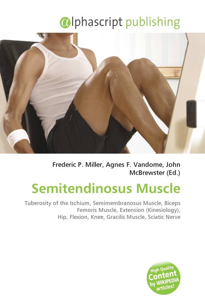 Semitendinosus Muscle
