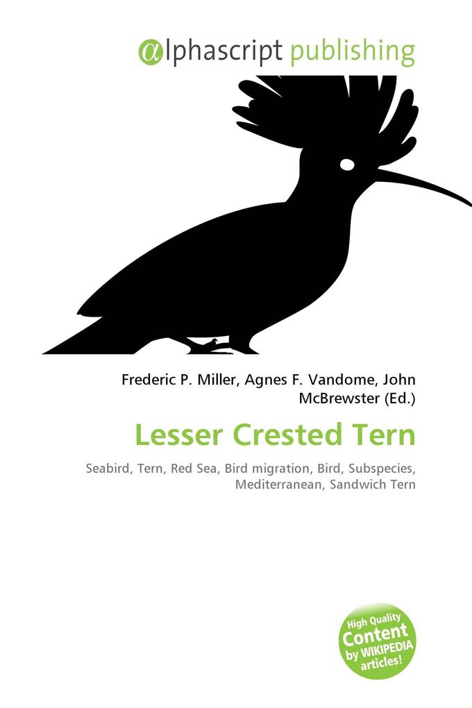 Lesser Crested Tern