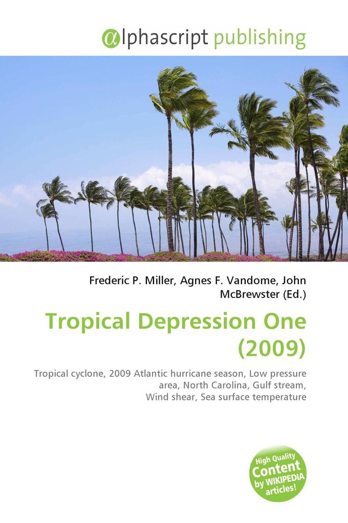 Tropical Depression One (2009)