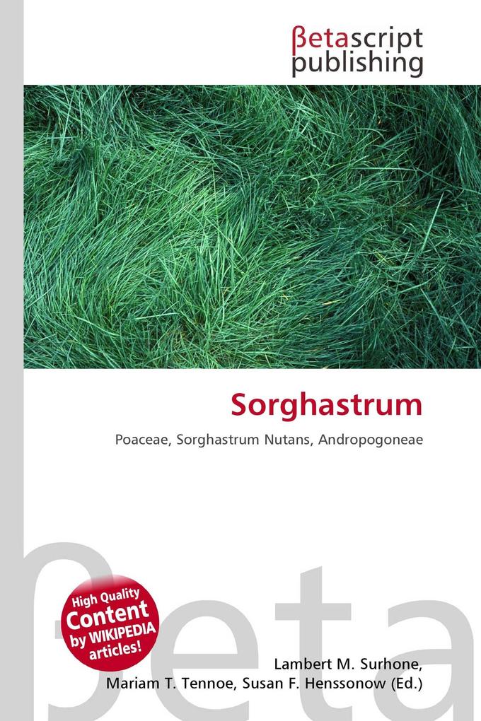 Sorghastrum