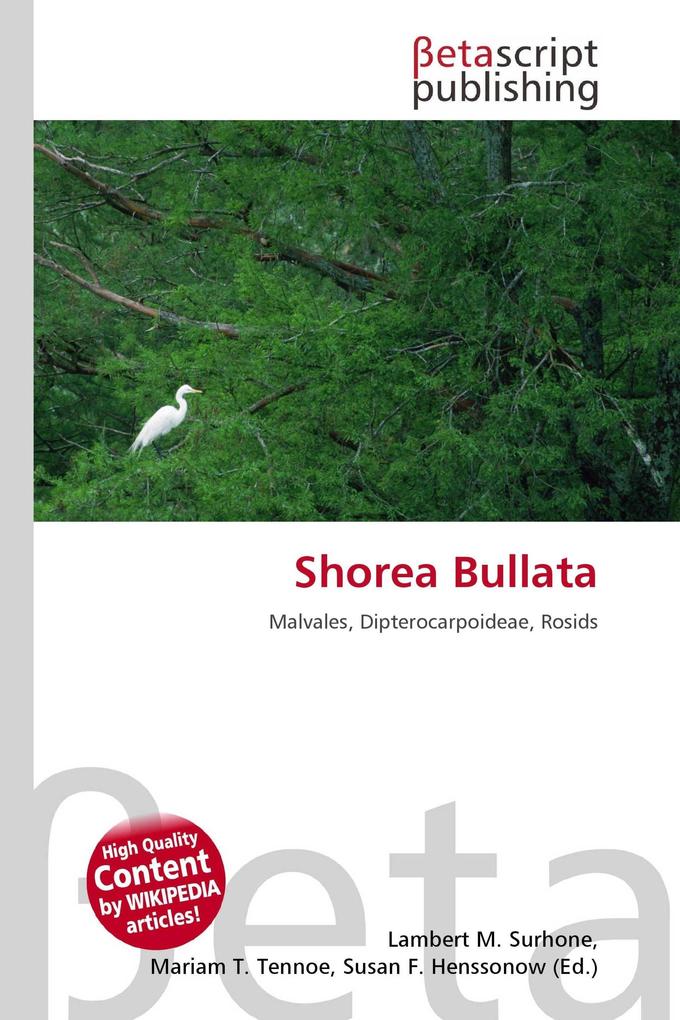 Shorea Bullata