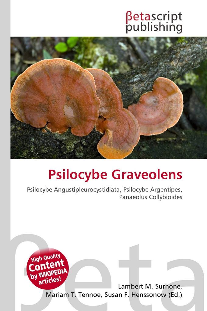 Psilocybe Graveolens