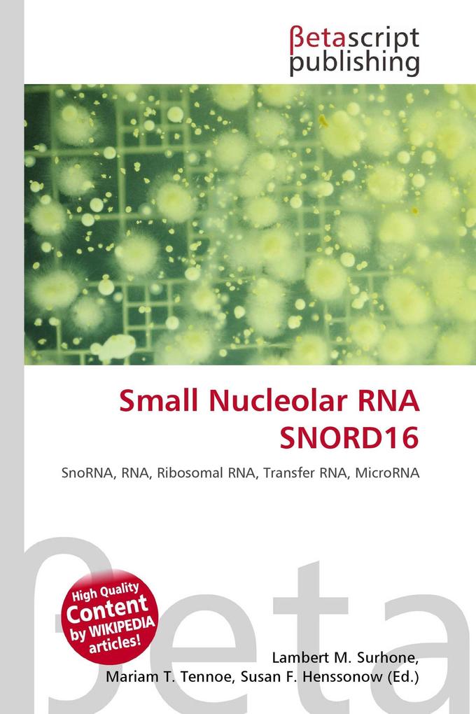 Small Nucleolar RNA SNORD16