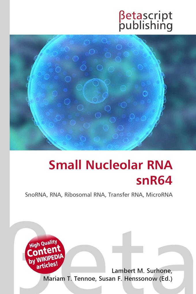 Small Nucleolar RNA snR64