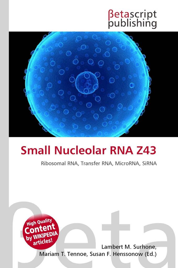 Small Nucleolar RNA Z43