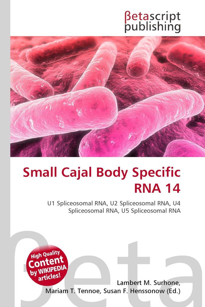 Small Cajal Body Specific RNA 14