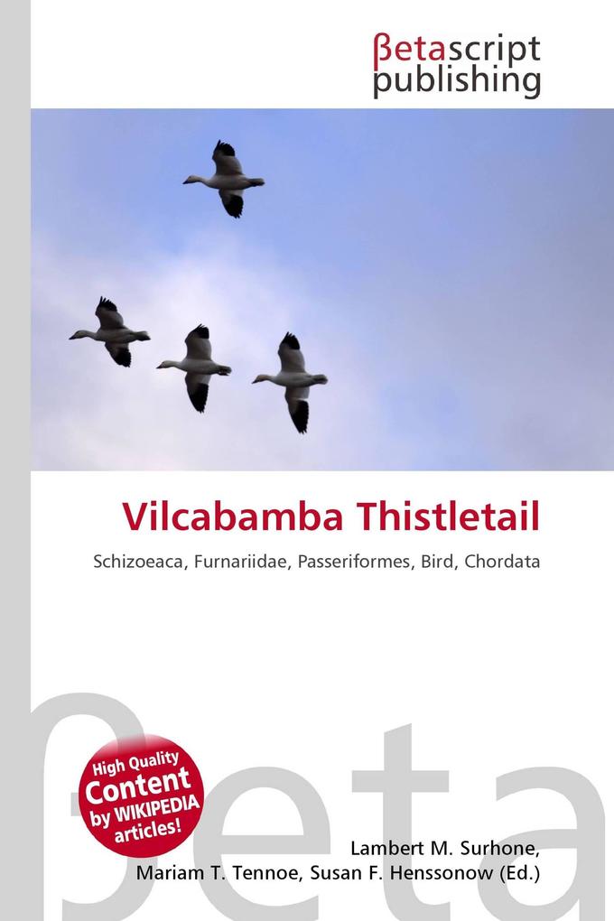 Vilcabamba Thistletail