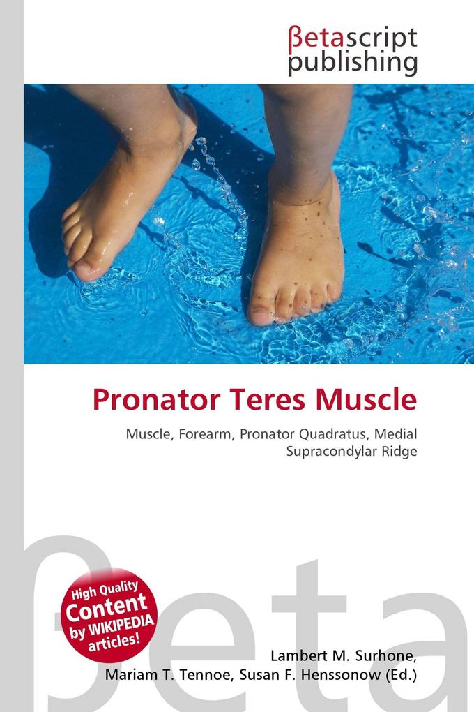 Pronator Teres Muscle