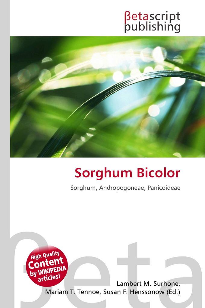 Sorghum Bicolor