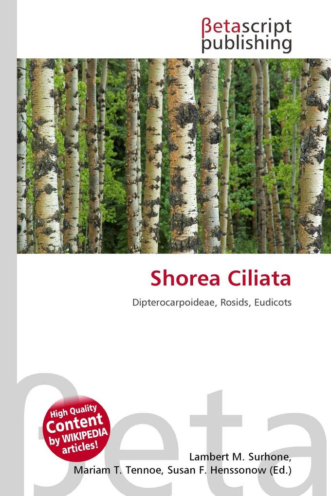 Shorea Ciliata