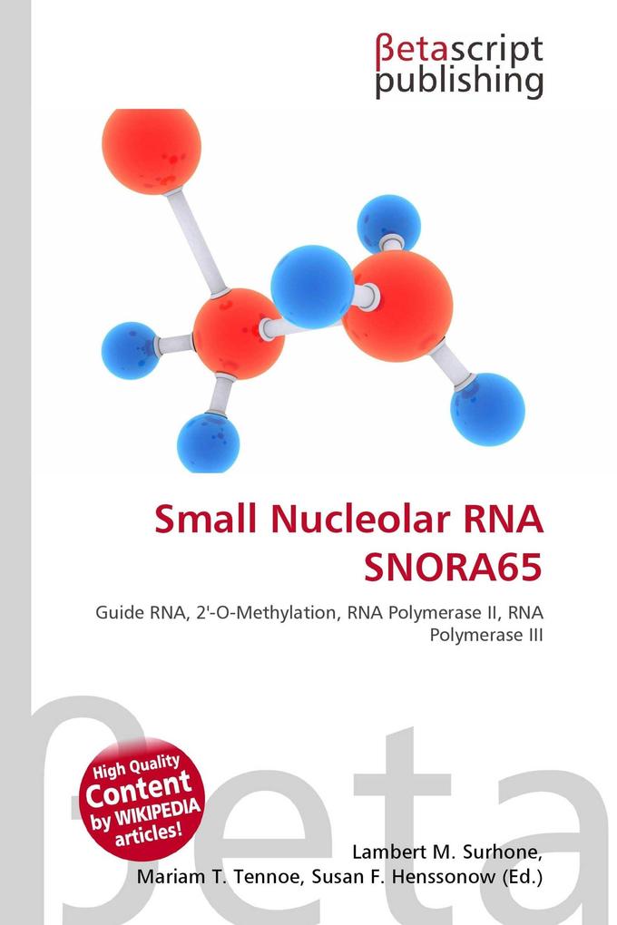 Small Nucleolar RNA SNORA65