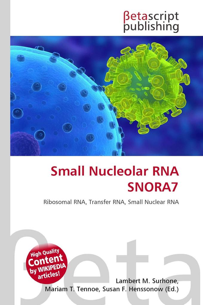 Small Nucleolar RNA SNORA7