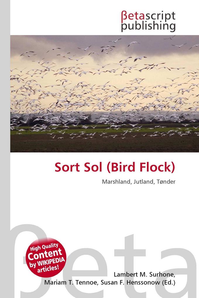 Sort Sol (Bird Flock)