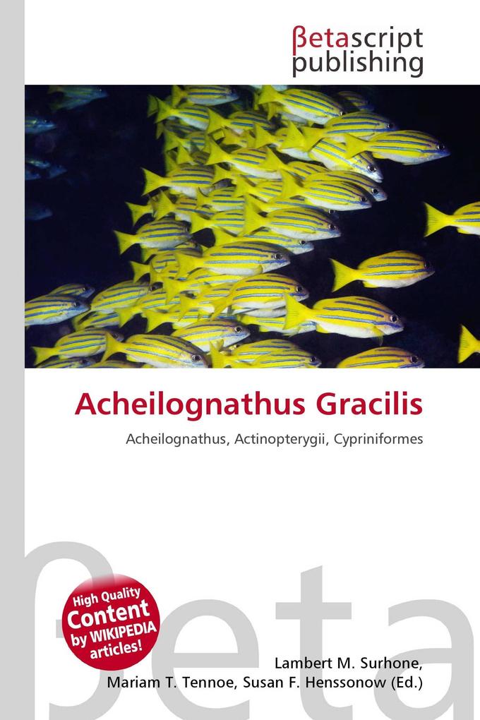 Acheilognathus Gracilis