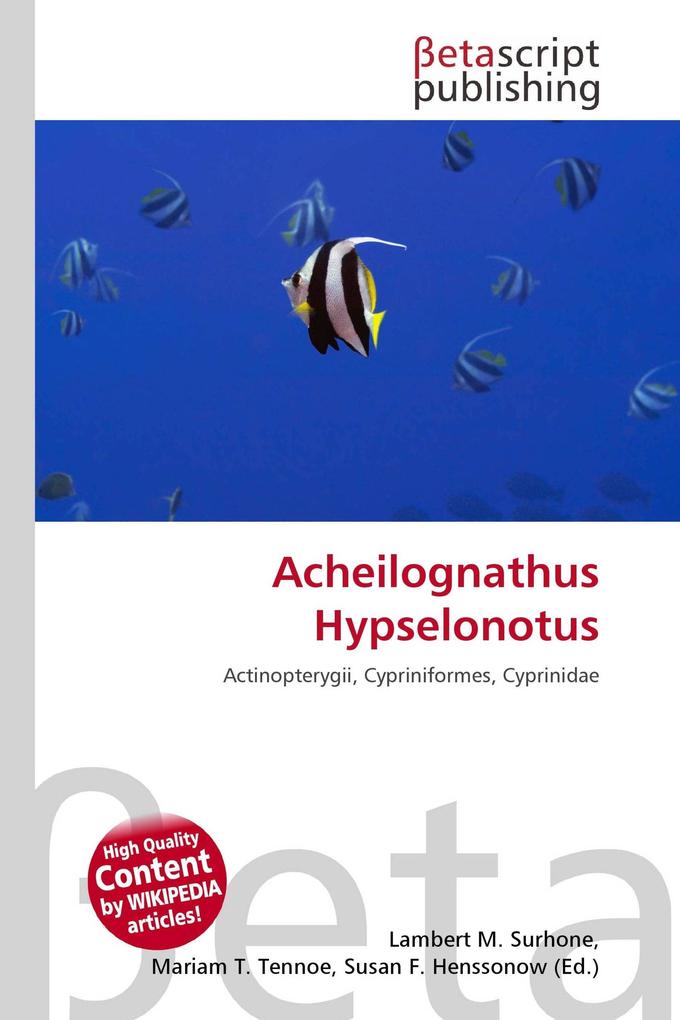 Acheilognathus Hypselonotus