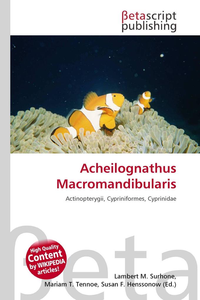 Acheilognathus Macromandibularis