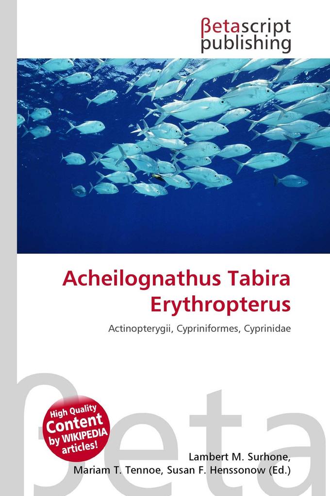 Acheilognathus Tabira Erythropterus