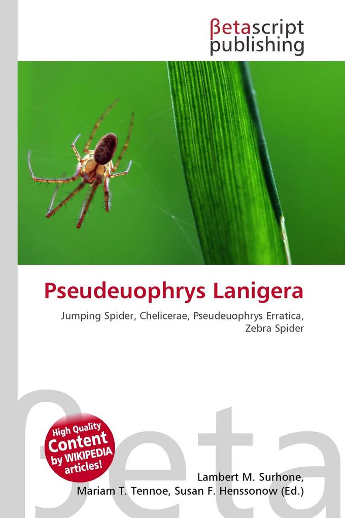 Pseudeuophrys Lanigera