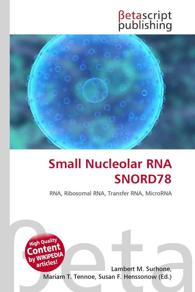 Small Nucleolar RNA SNORD78