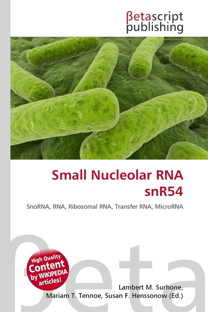 Small Nucleolar RNA snR54