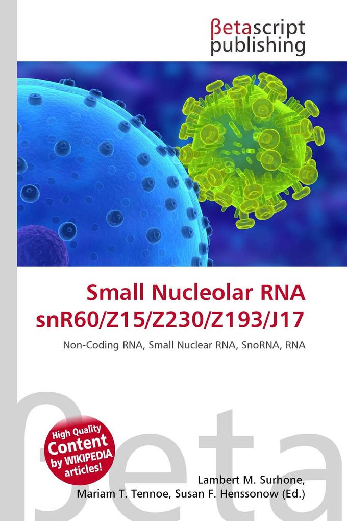 Small Nucleolar RNA snR60/Z15/Z230/Z193/J17