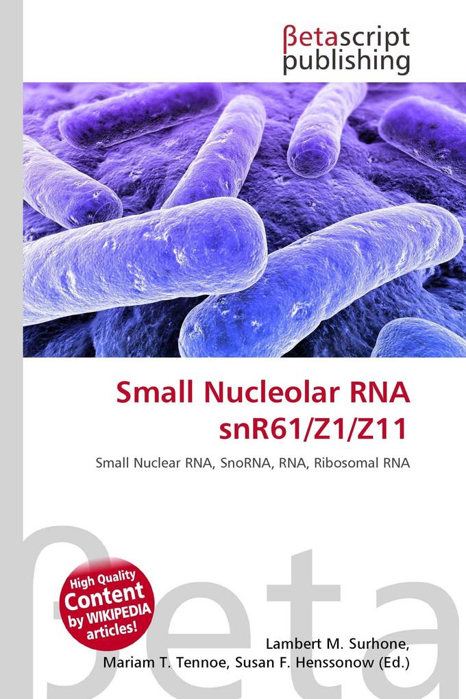 Small Nucleolar RNA snR61/Z1/Z11
