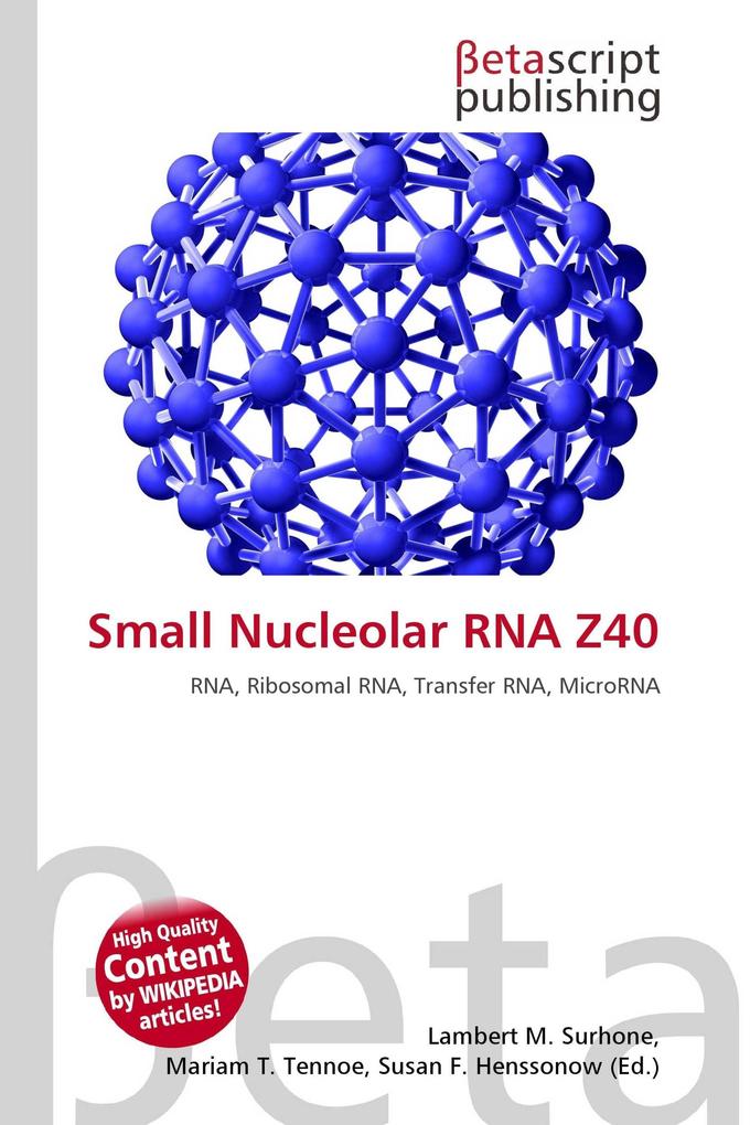 Small Nucleolar RNA Z40