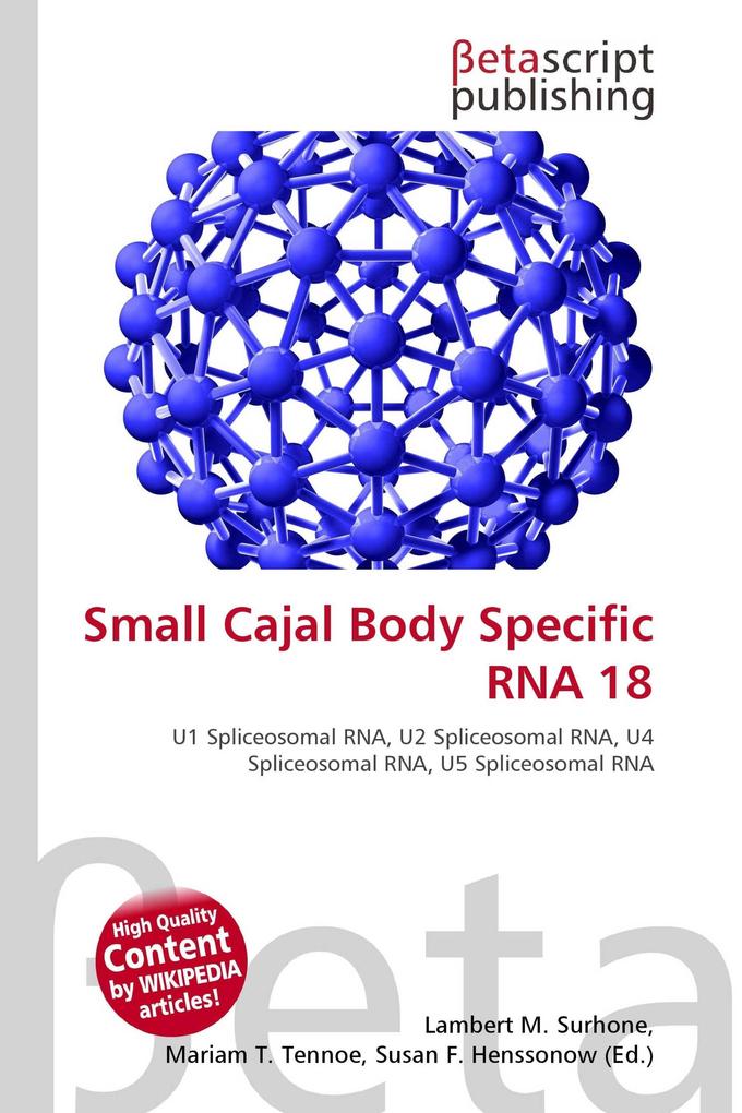 Small Cajal Body Specific RNA 18