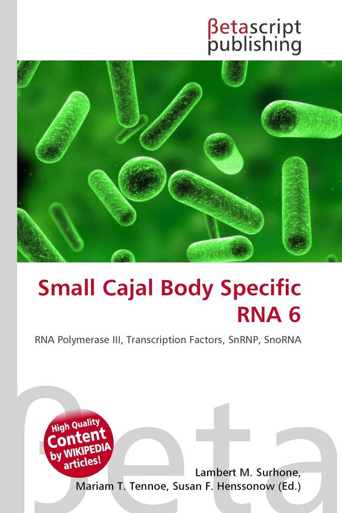 Small Cajal Body Specific RNA 6