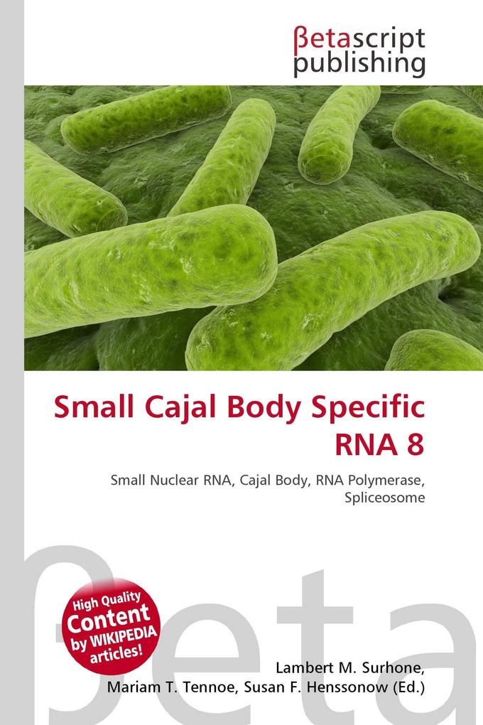 Small Cajal Body Specific RNA 8