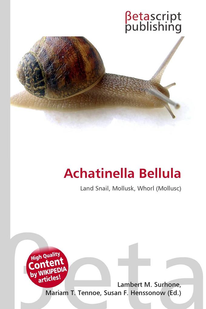 Achatinella Bellula