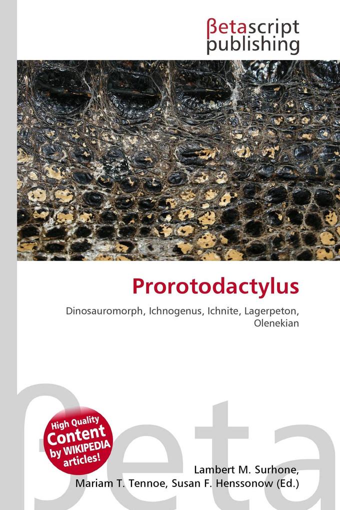Prorotodactylus