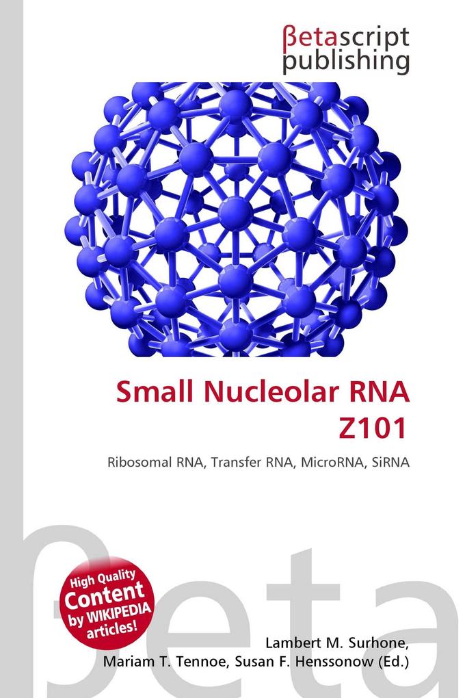 Small Nucleolar RNA Z101