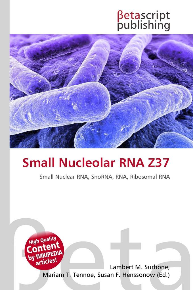Small Nucleolar RNA Z37