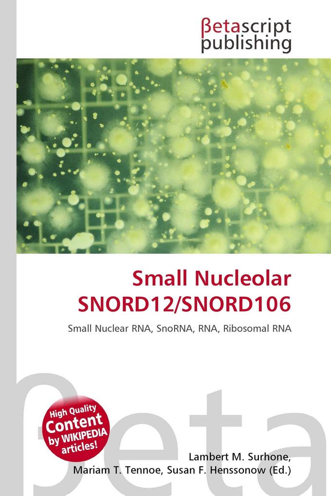 Small Nucleolar SNORD12/SNORD106