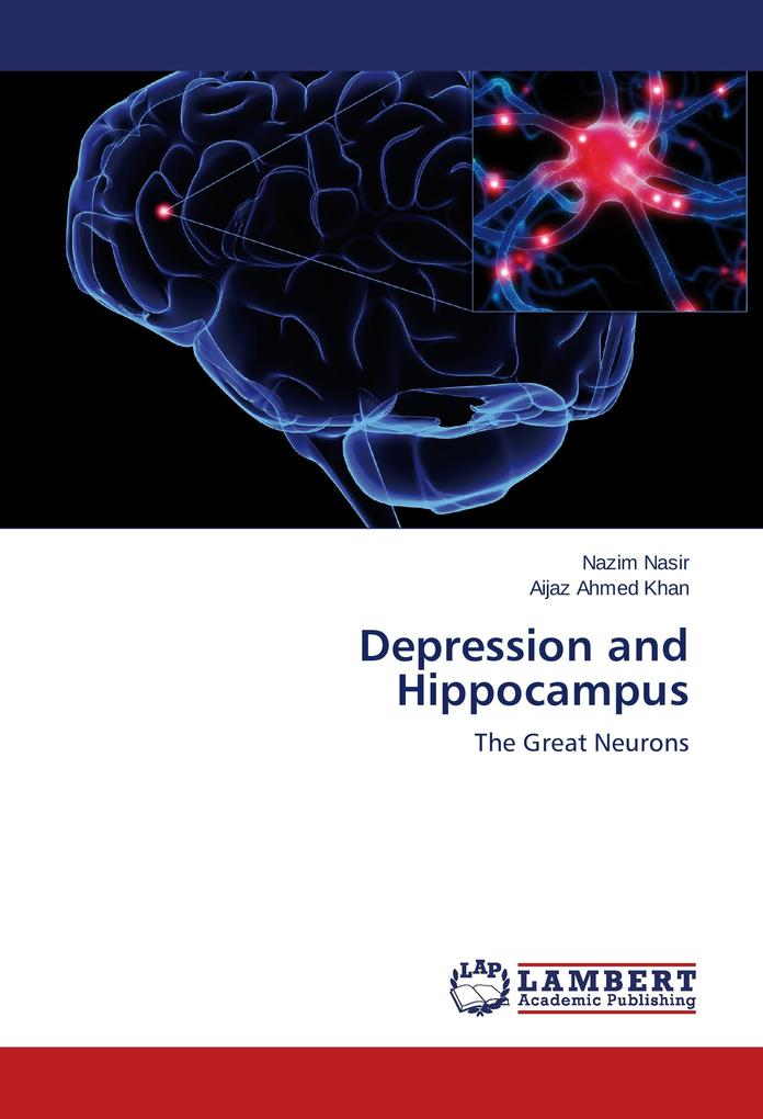 Depression and Hippocampus