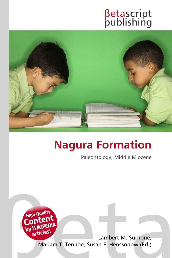 Nagura Formation