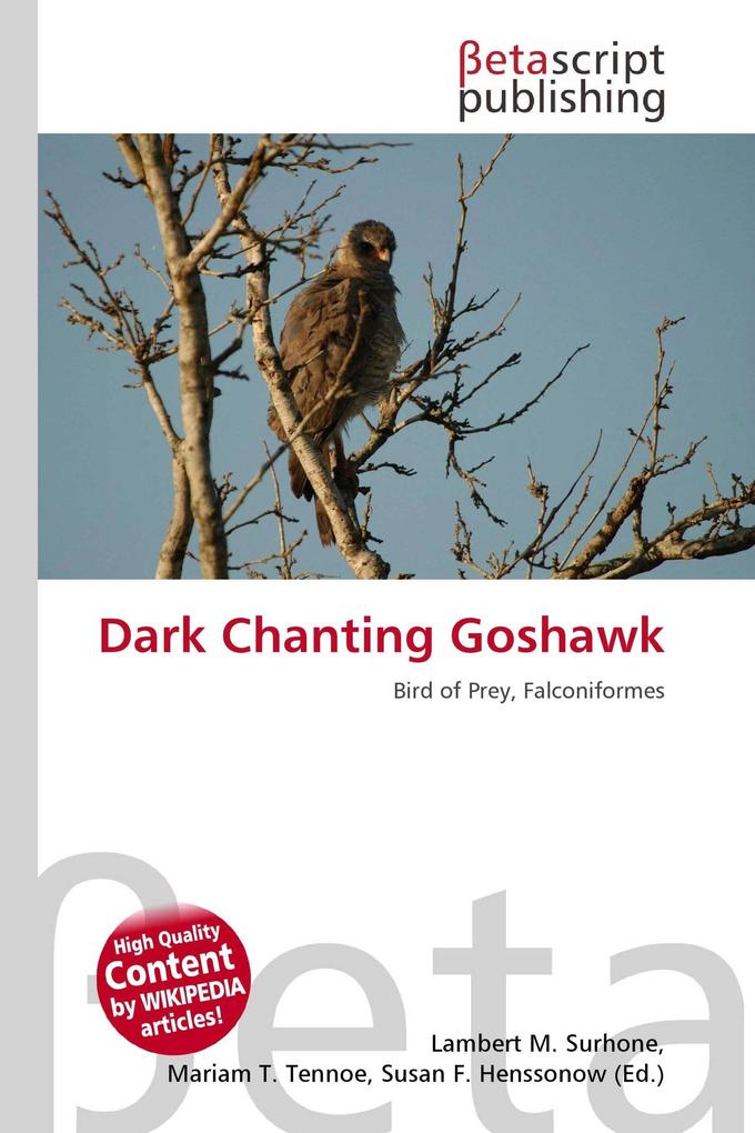 Dark Chanting Goshawk