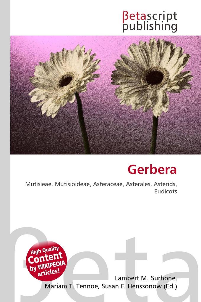 Gerbera