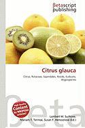 Citrus glauca