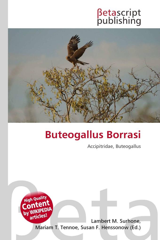 Buteogallus Borrasi